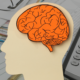 intellectual property and bankruptcy