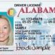 bankruptcy to get your alabama drivers license back
