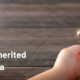 The Impact of Bankruptcy on Inherited Assets in Alabama