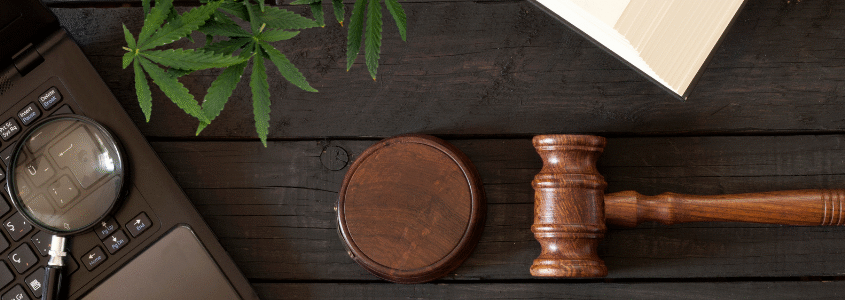 Bankruptcy Options for Cannabis Industry Participants: Navigating Federal and State Law Conflicts